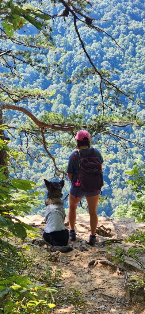 New River Gorge Hiking with North, WV