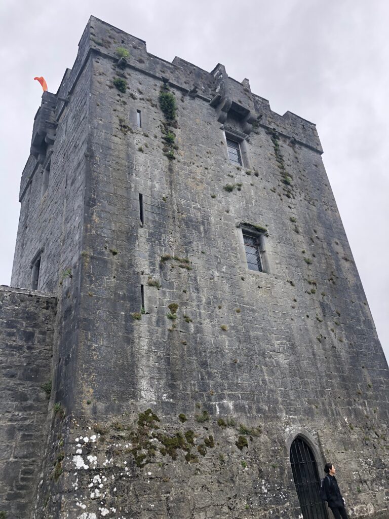 Dunguaire Castle