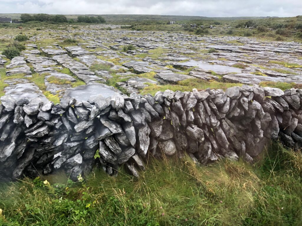 Ireland's Beauty