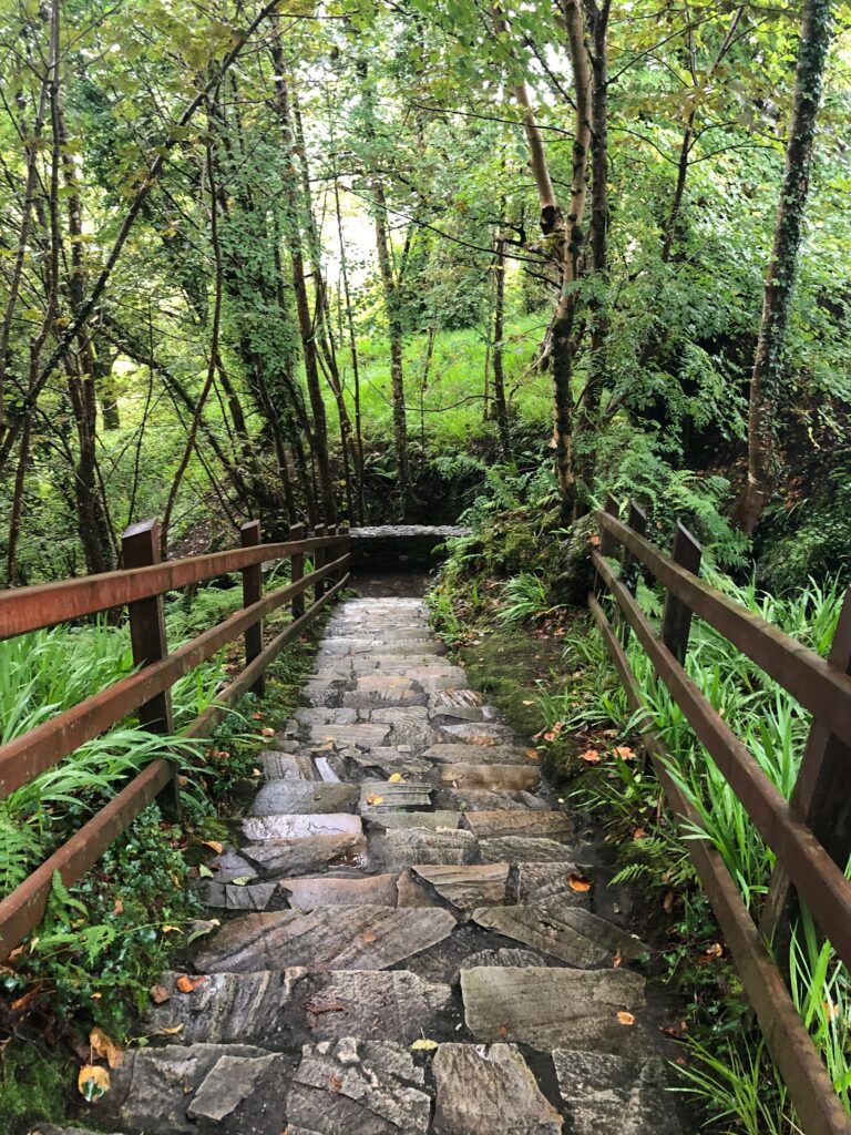 Ireland's Beauty