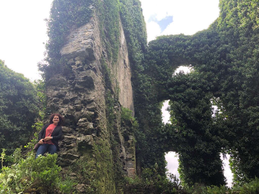 Ireland's Beauty