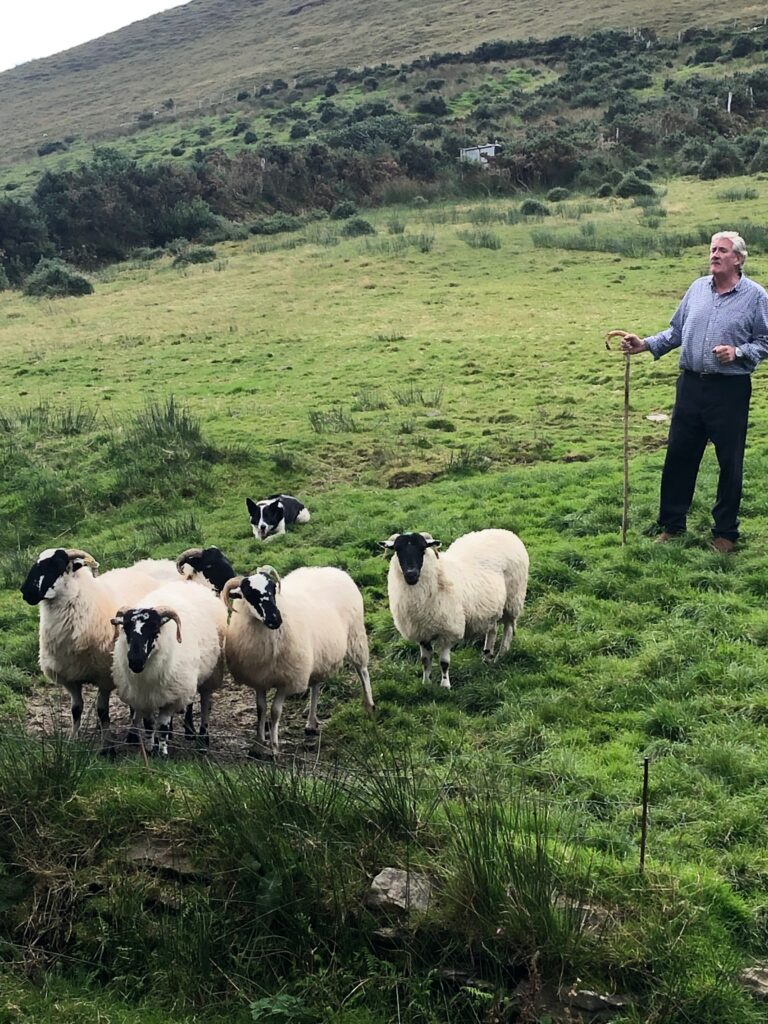 Ireland's Beauty