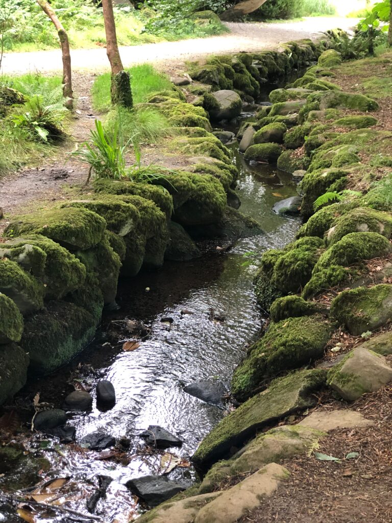 Ireland's Beauty