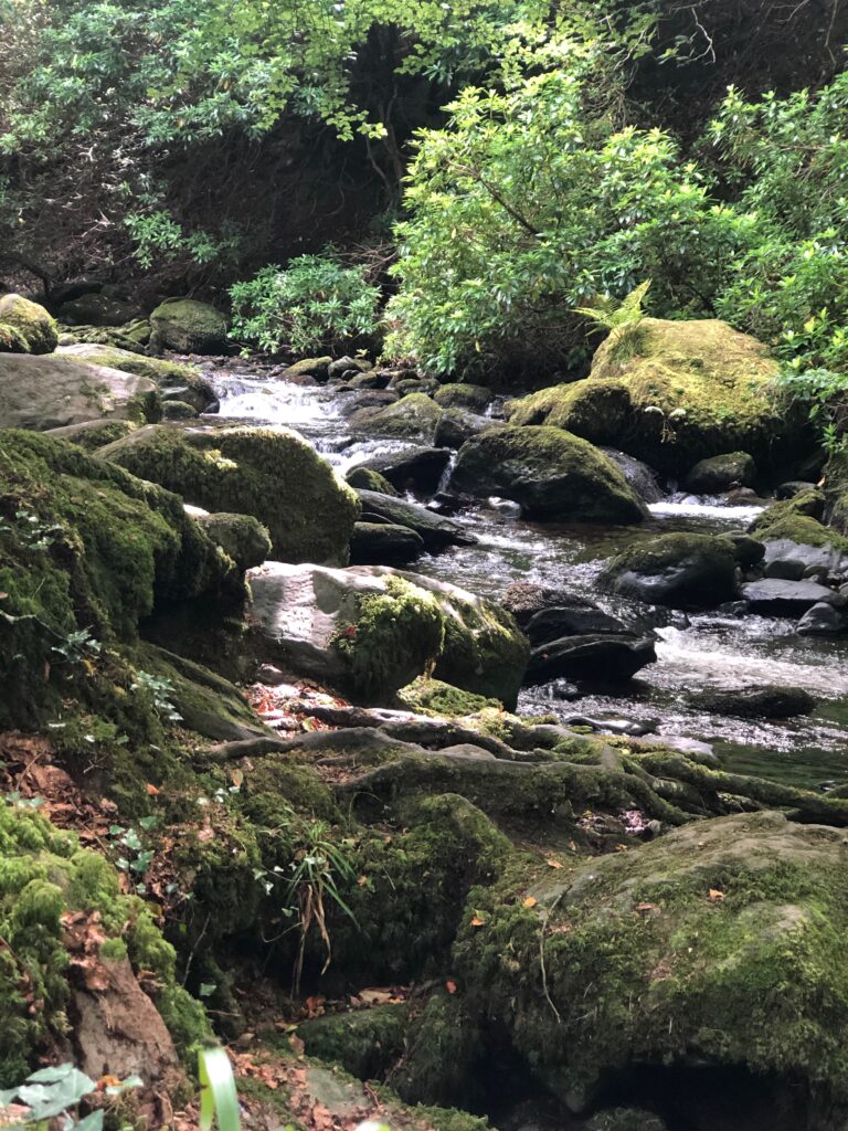 Ireland's Beauty