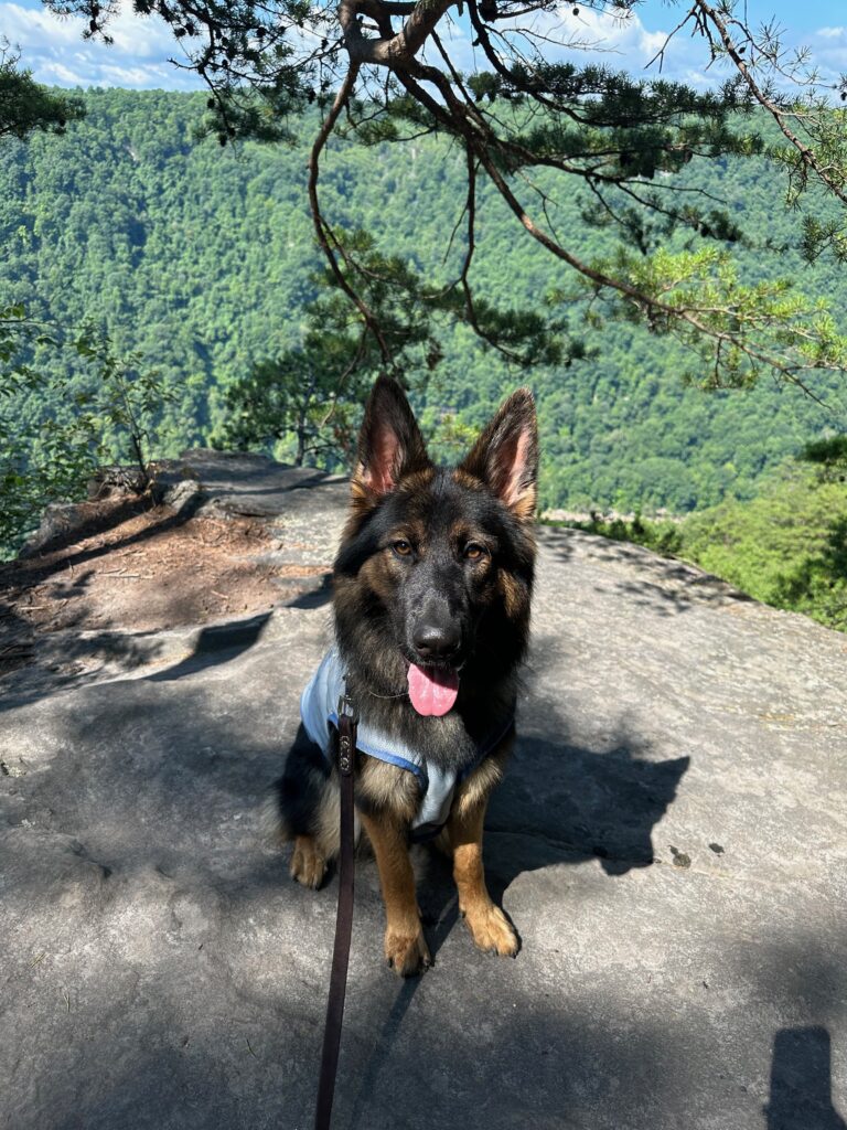 New River Gorge WV