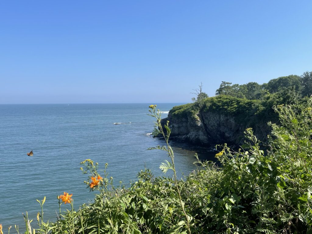 Paradise All On Its' Own - Rhode Island