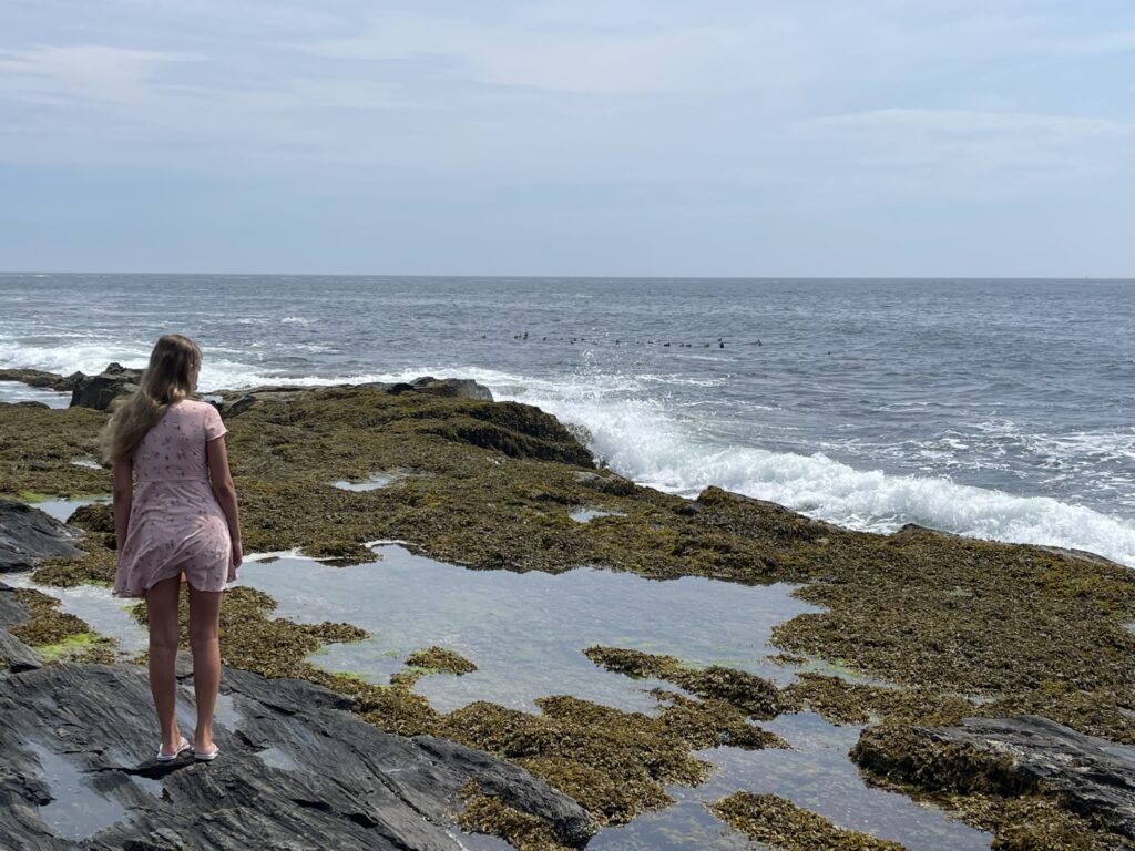 Road Trip to Maine