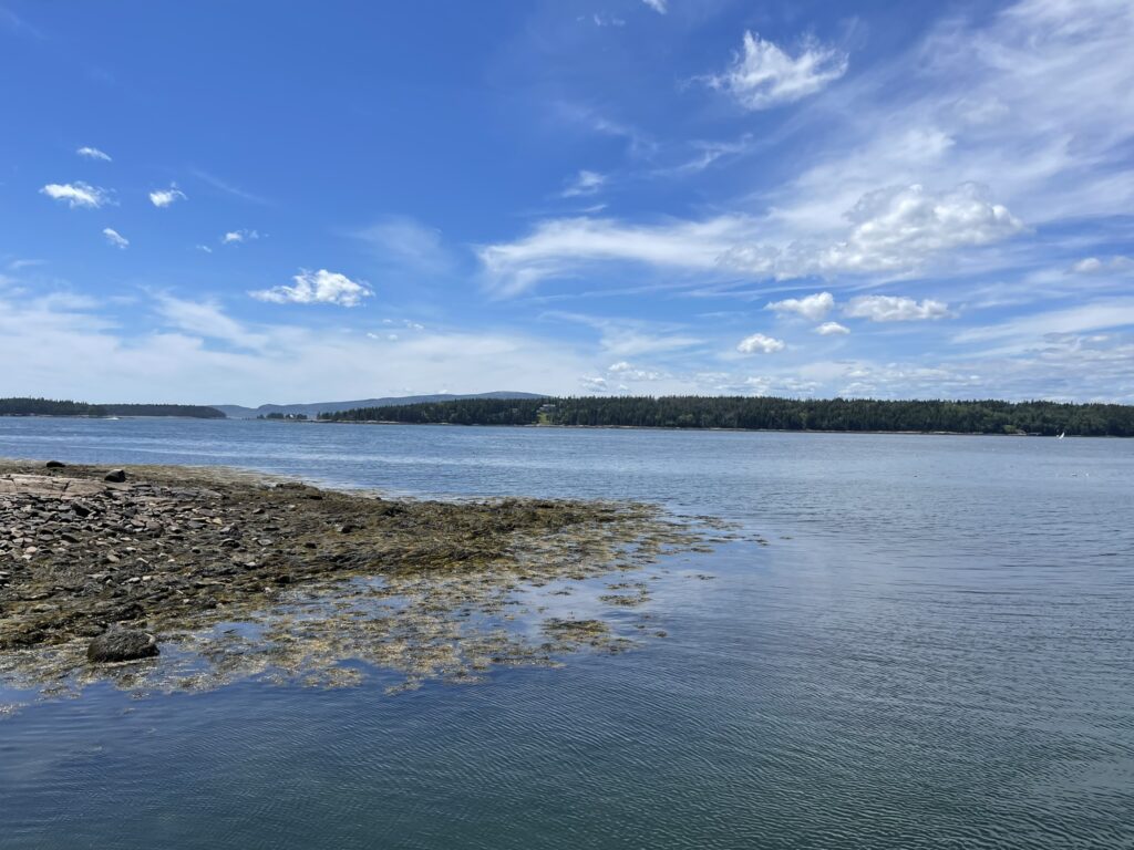 The Best National Park