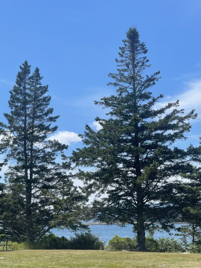 The Best National Park