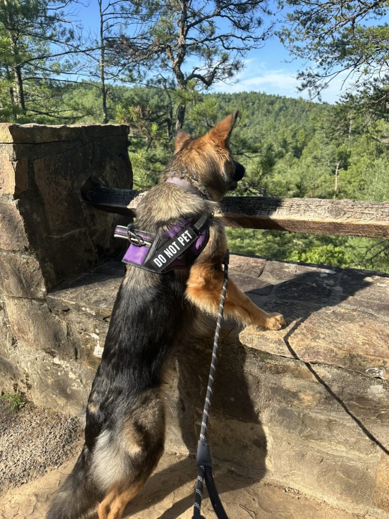Red River Gorge