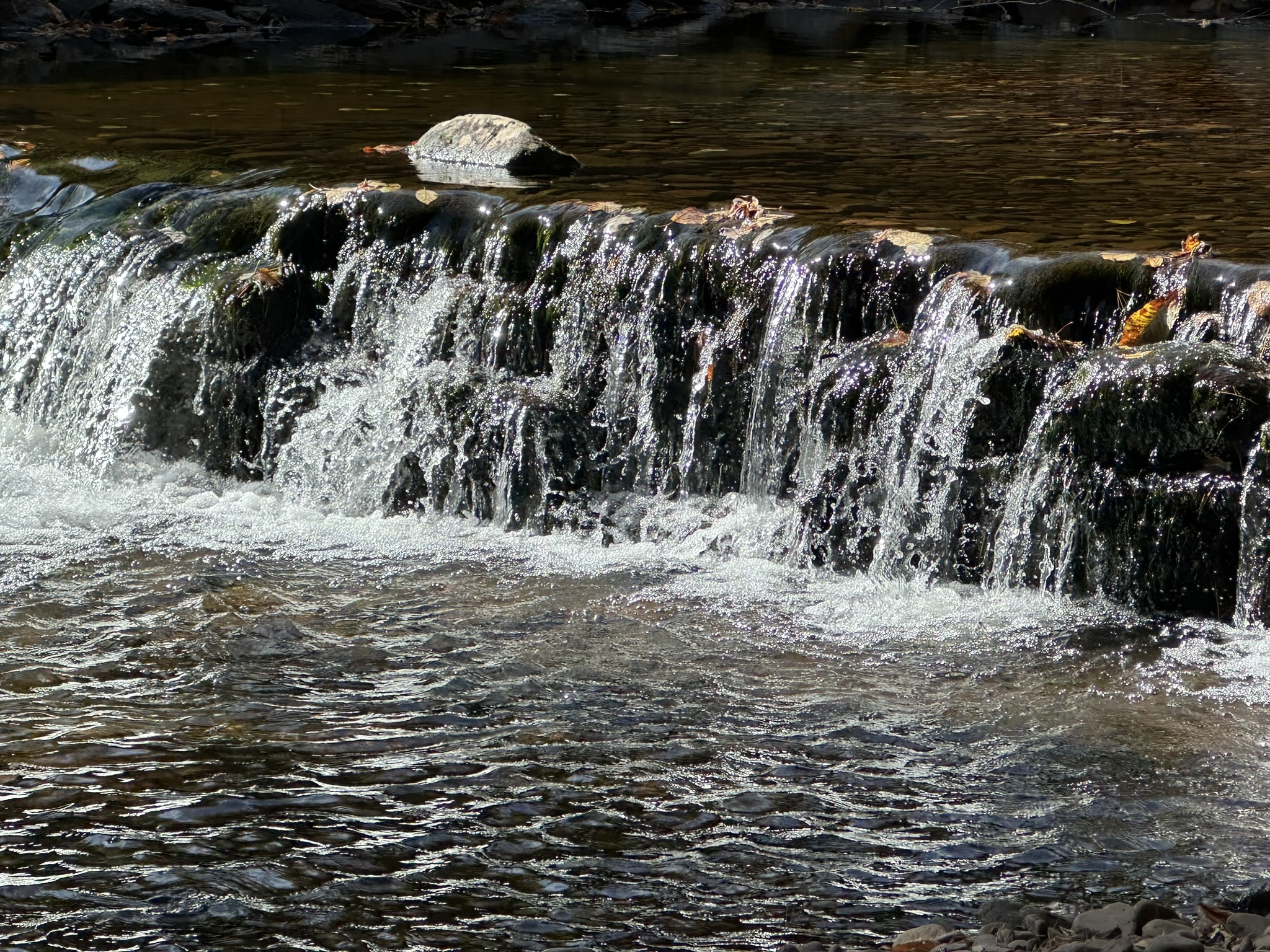 The Ultimate Hiking Adventure Guide: Falls Trail