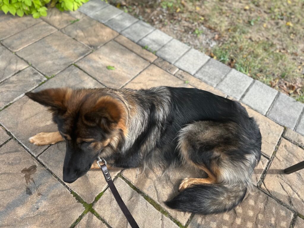 North relaxing at the Woodstock Brew House outdoor patio area.