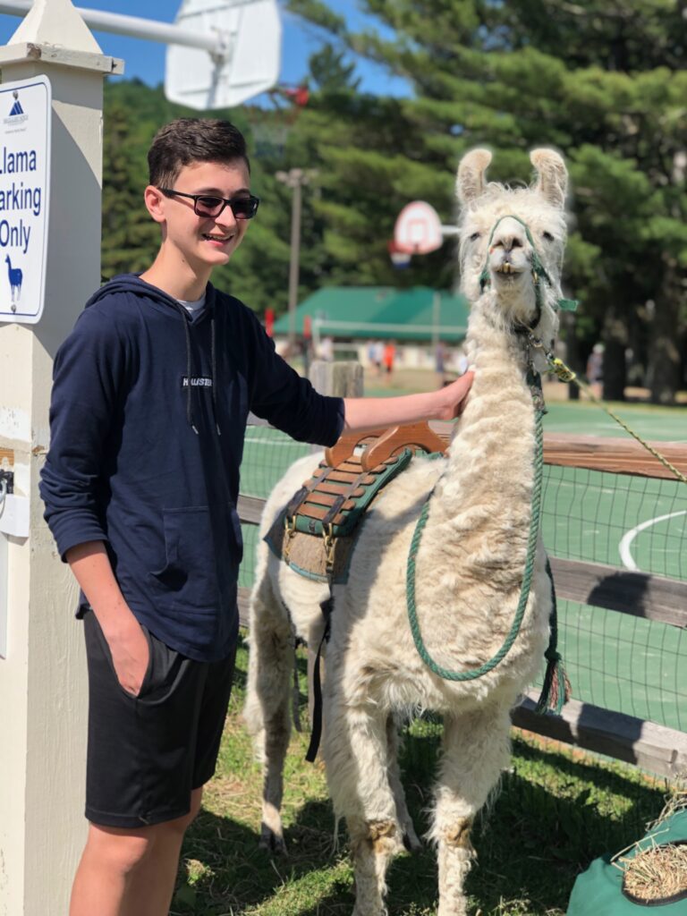 Llama Trekking Tour