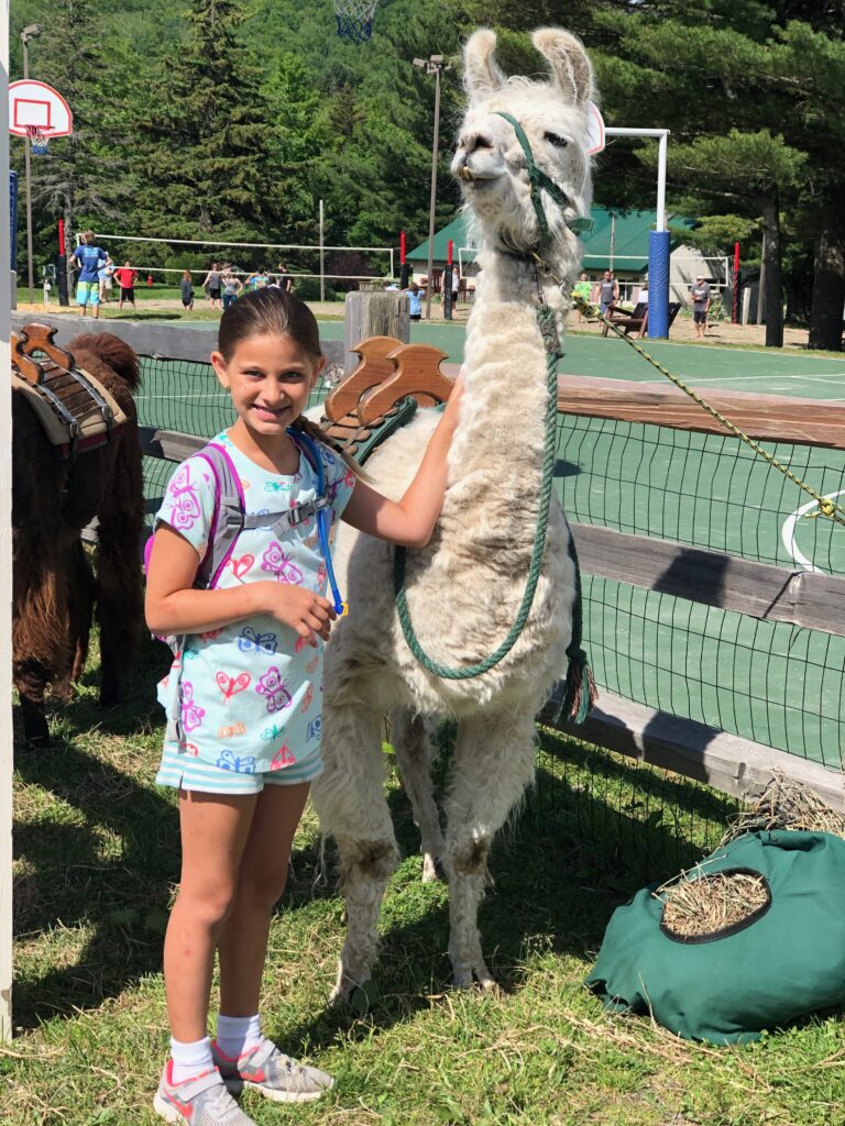 Llama Trekking Tour