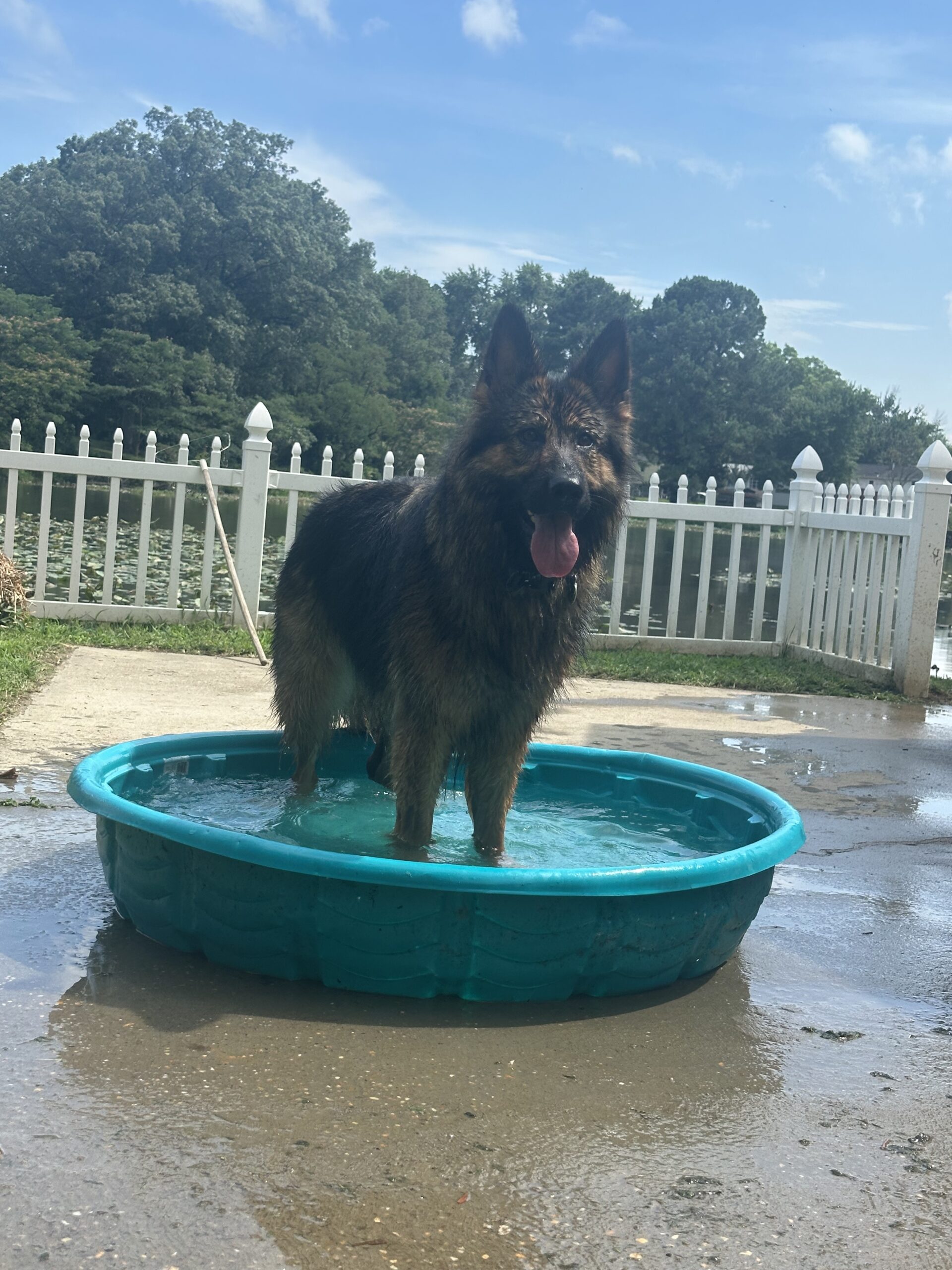 The Best SniffSpot + Swimply Swimming Spots in Northern Virginia (North-Approved)