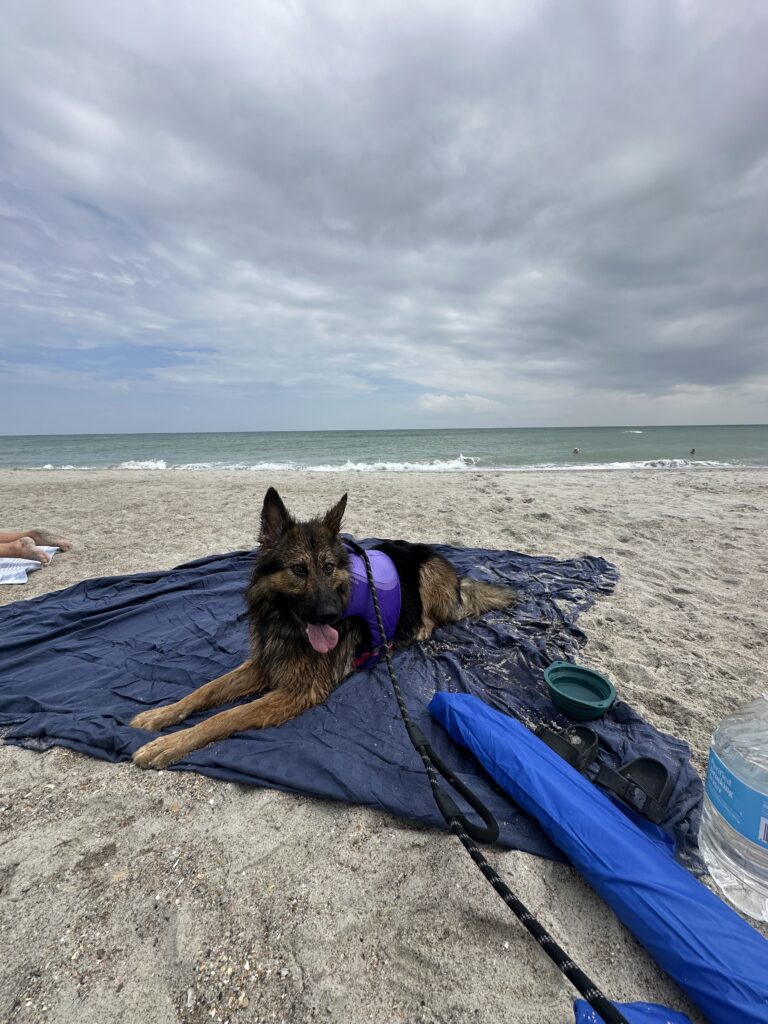 Dog-friendly adventure North Carolina Crystal Coast