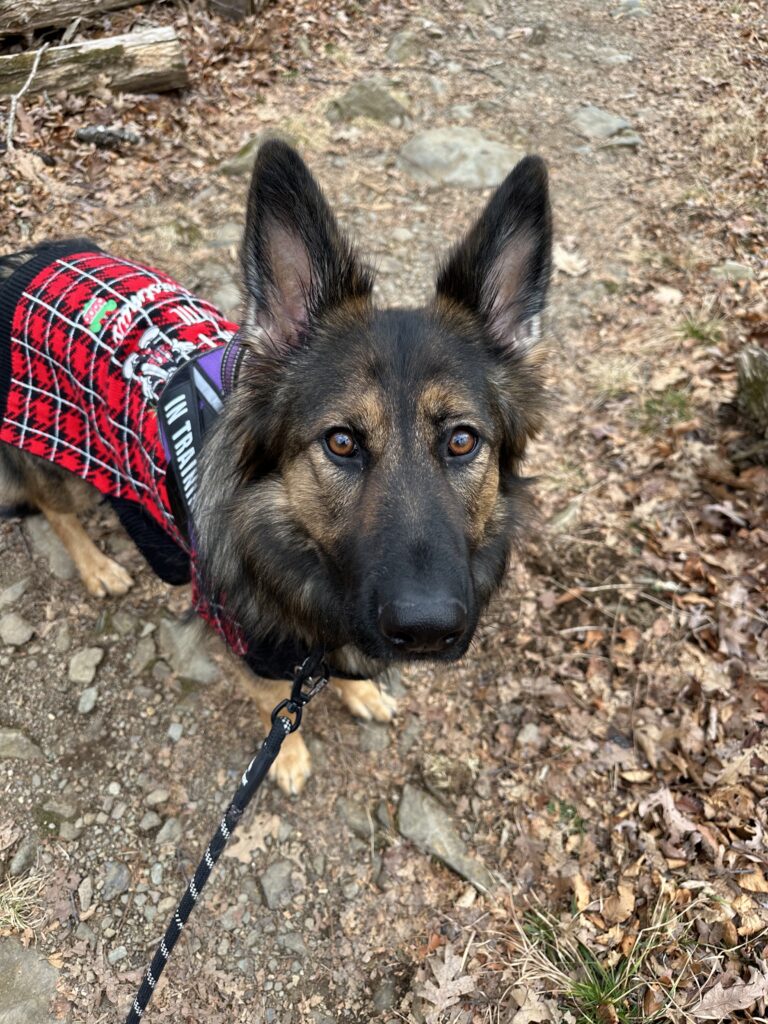 Enjoying time with North during a winter day trip from Northern Virginia 