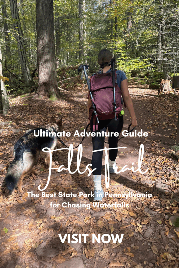 Ricketts Glen hiking trails