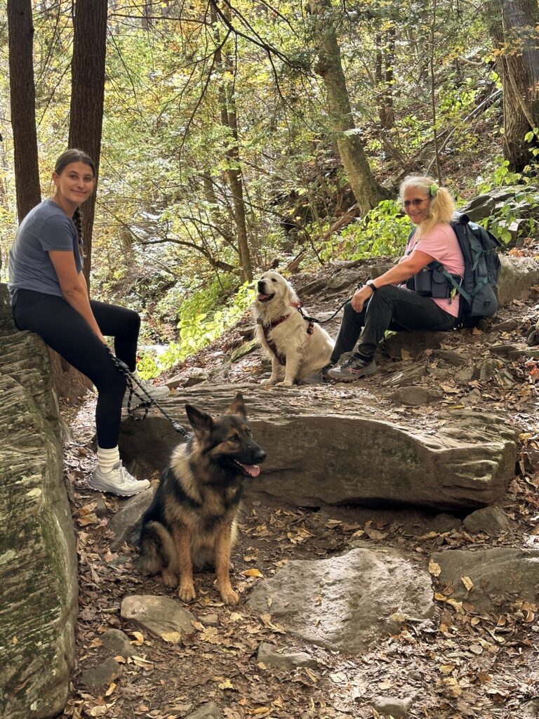 Ricketts Glen hiking trails