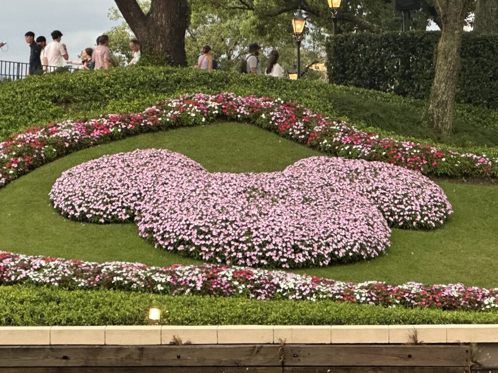 Disney World 5-day guide