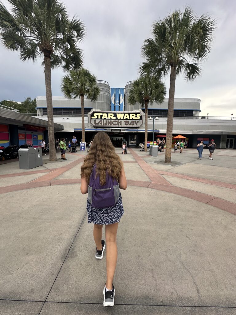 Disney World 