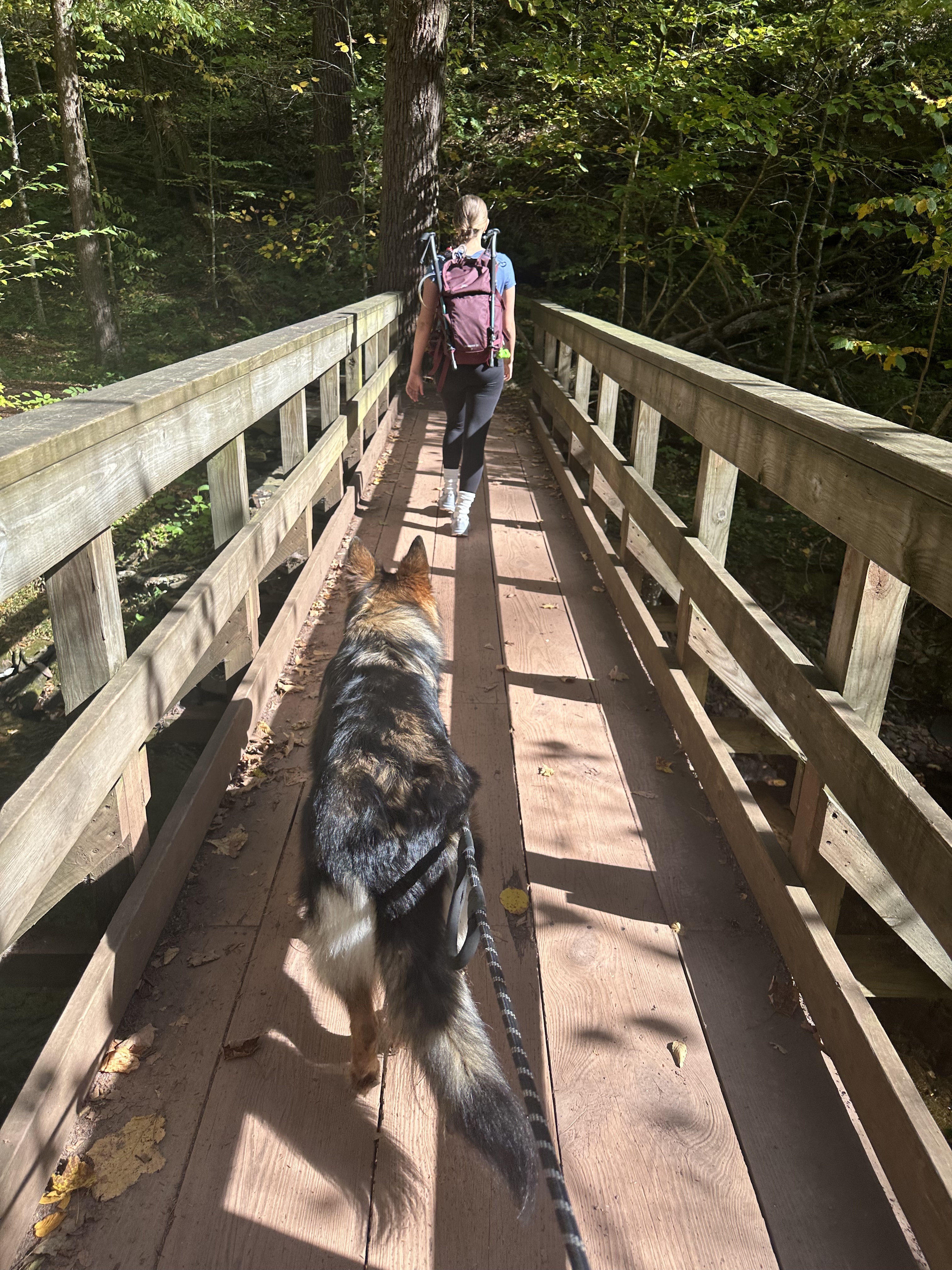 Bridge crossing while chasing waterfalls