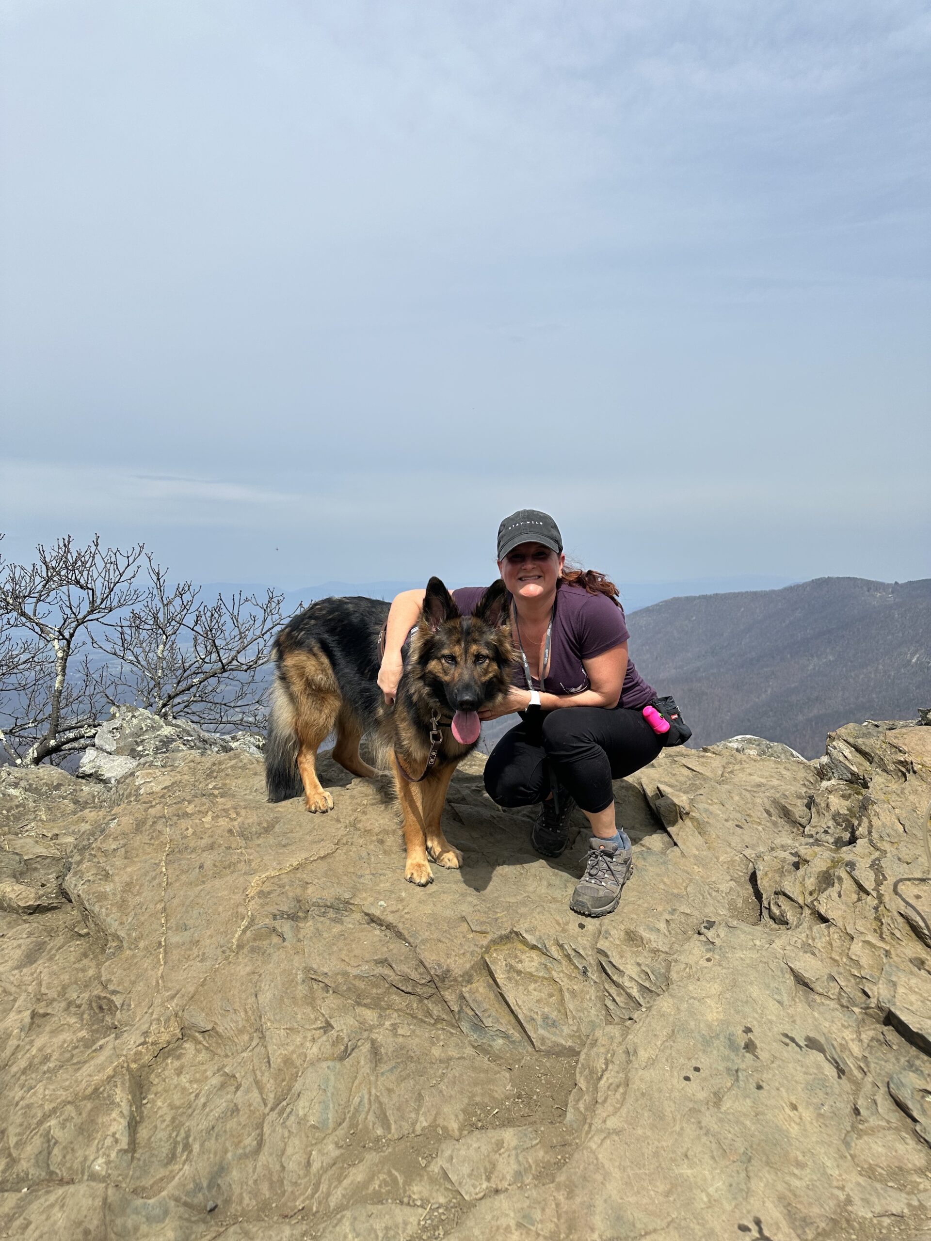 Paws on the Ground: Where to Find the Most Beautiful Dog-Friendly Hiking Trails in Virginia