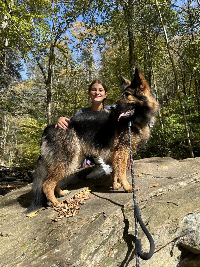 Hiking the Falls Trail