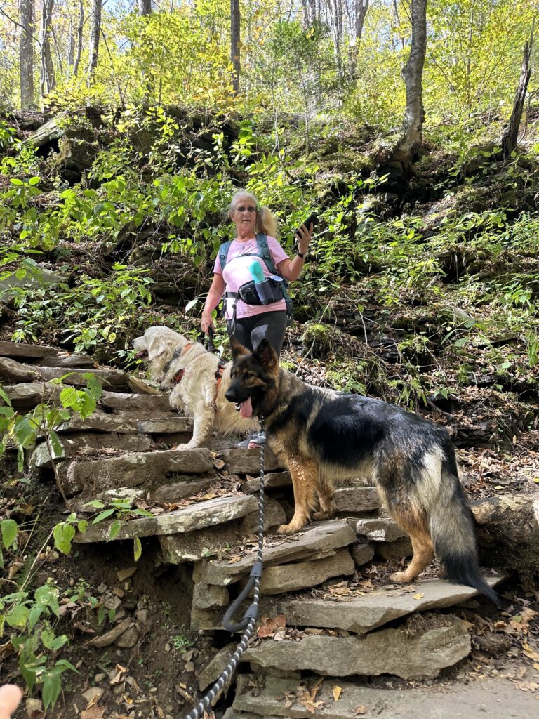 Ricketts Glen hiking trails