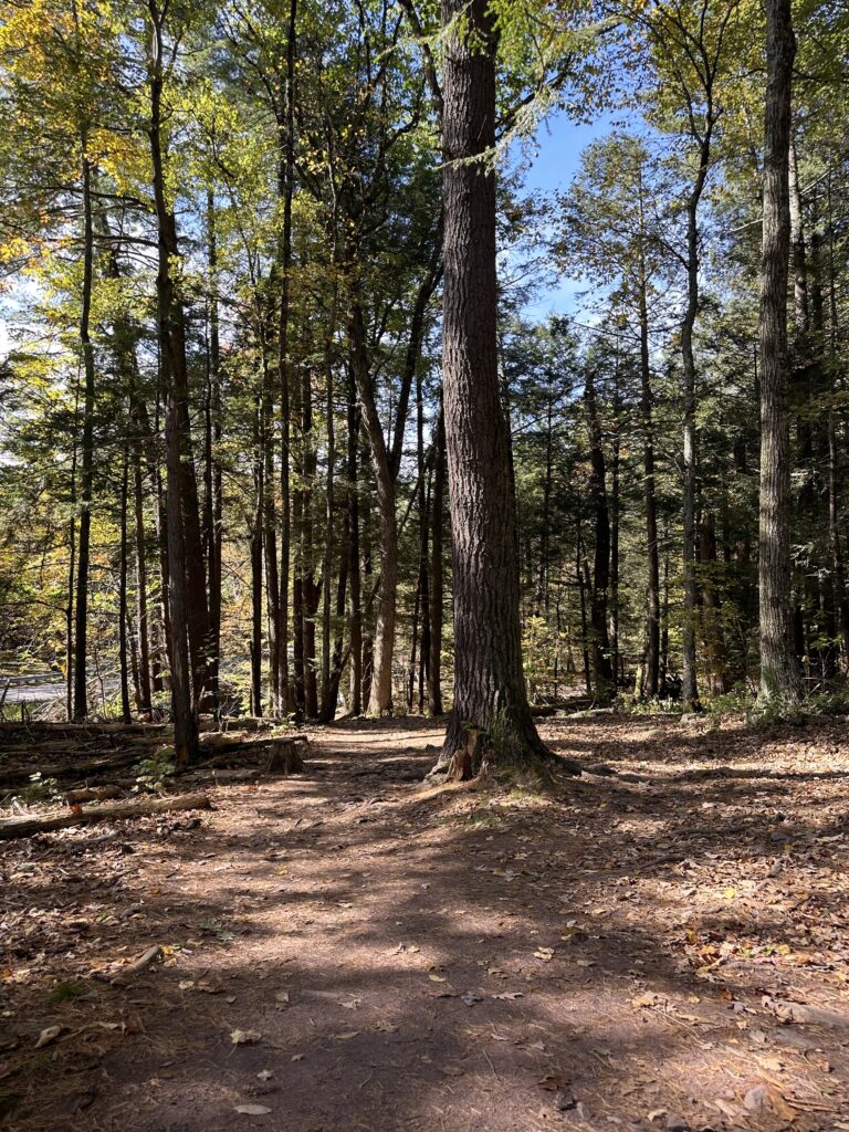 Ricketts Glen State Park