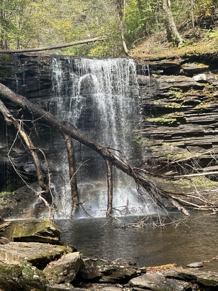 Ricketts Glen Waterfall