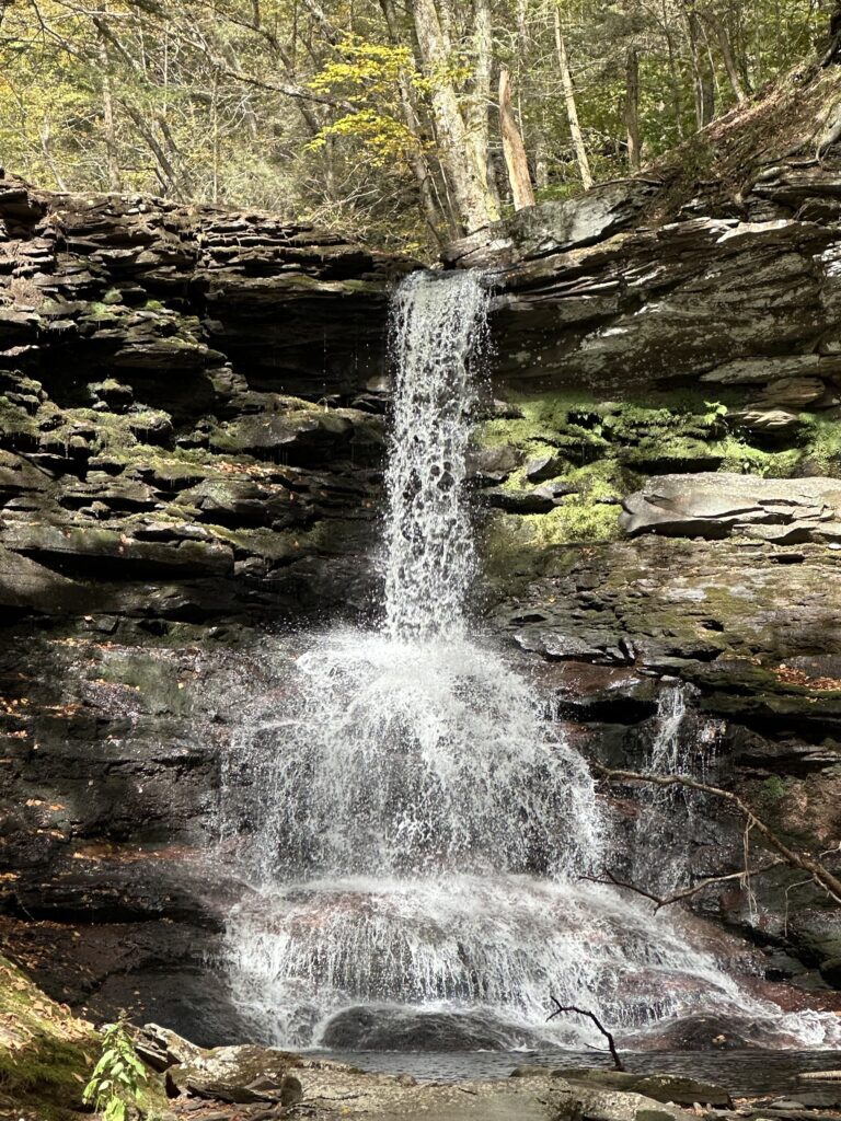 Ricketts Glen Waterfall