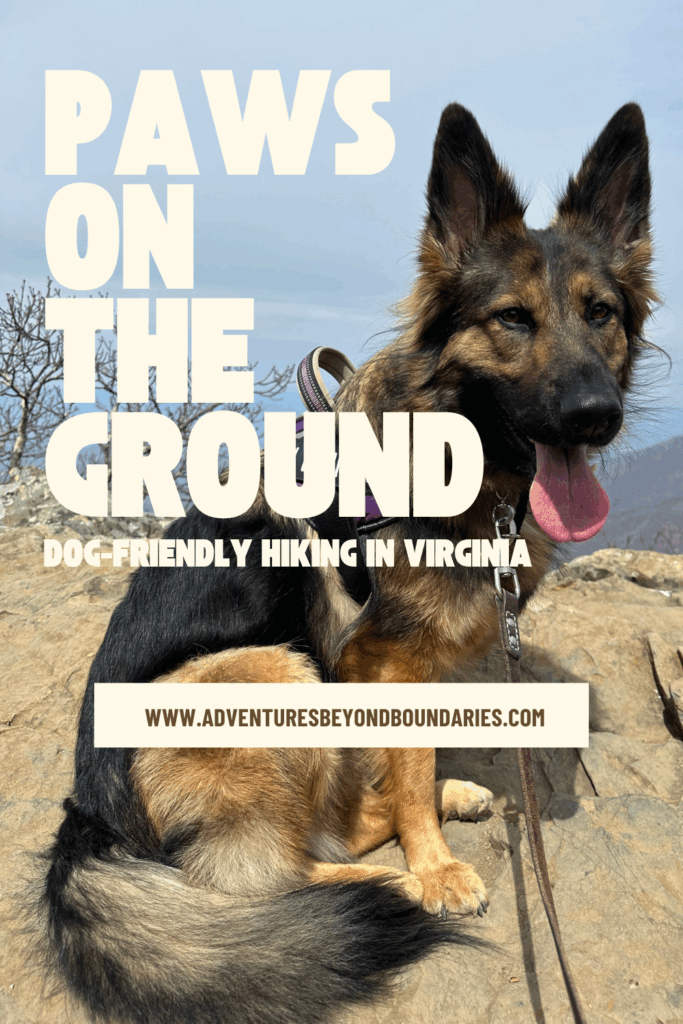 dog-friendly hiking trails