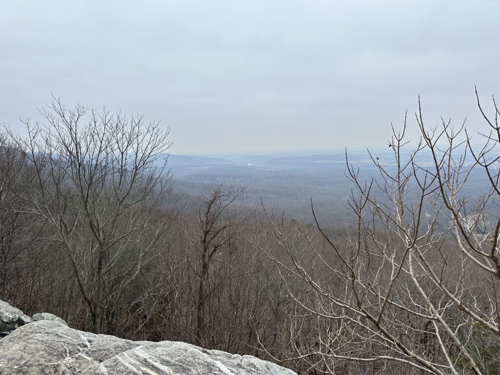 Dog-friendly hiking trails