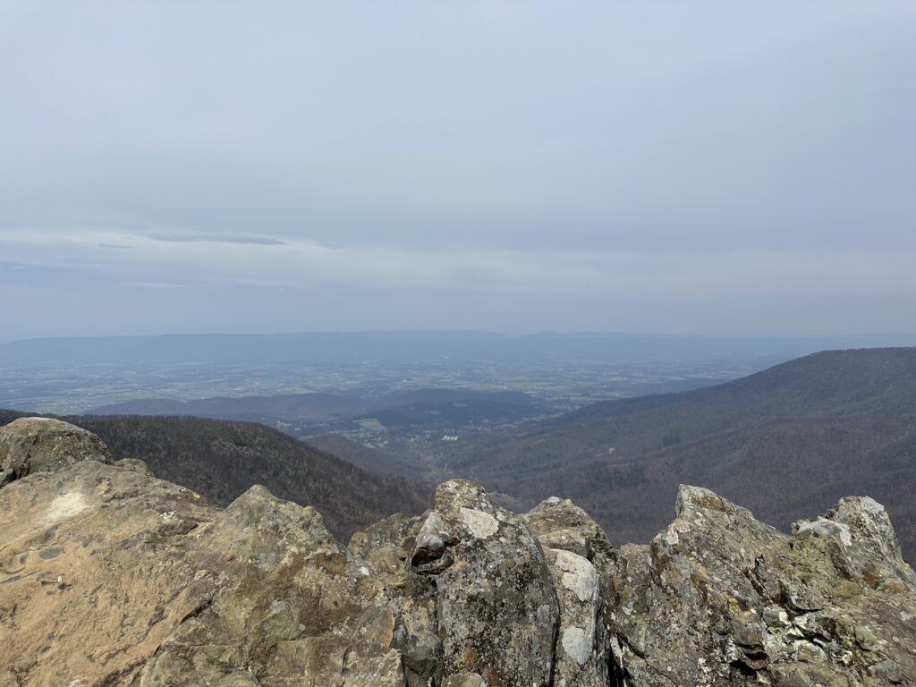 Virginia Nature