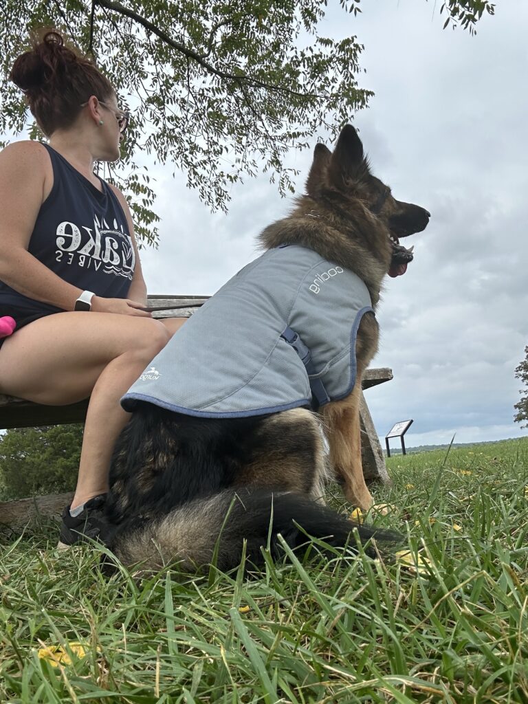 hiking with dogs weather-specific gear