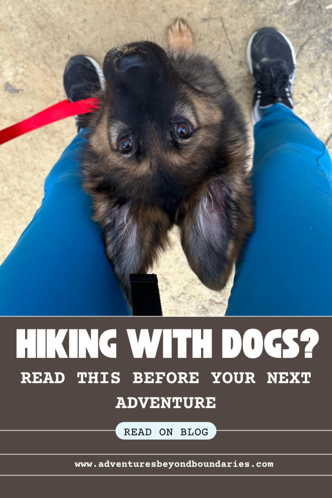 hiking with dogs
