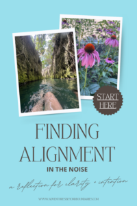 Finding Alignment