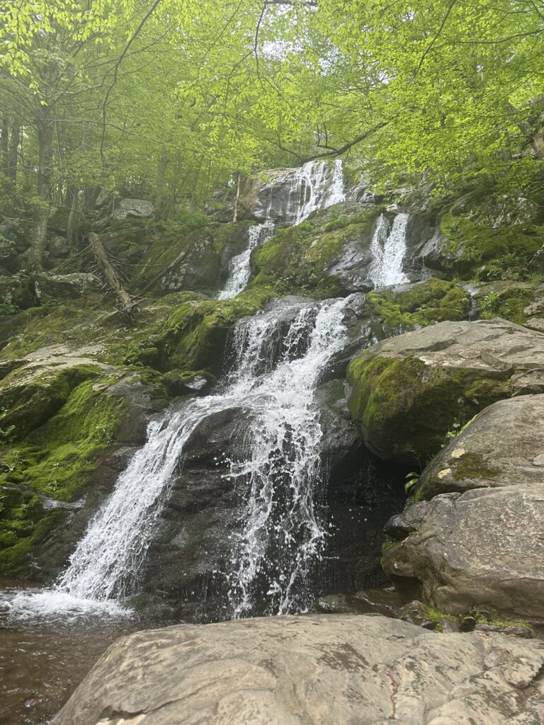 Dark Hollow Falls waterfall trail in Shenandoah National Park