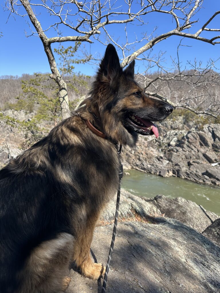 River Trail Great Falls National Park Northern Virginia