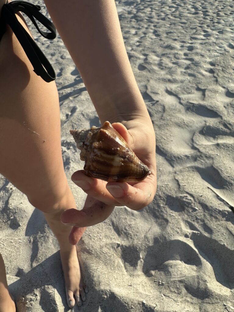 Indian Shores Beach Florida