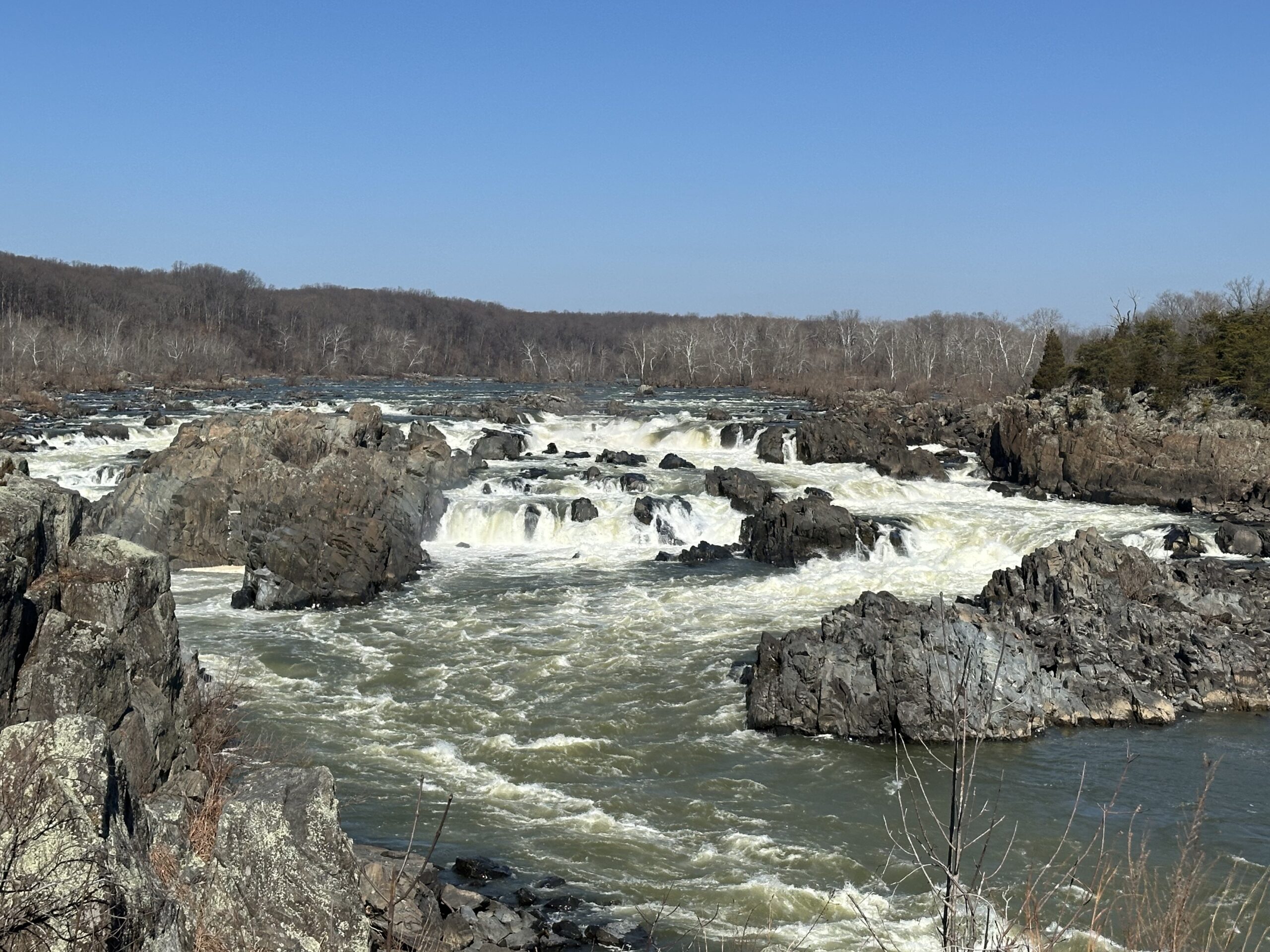 Great Falls National Park Hiking Guide: Virginia vs Maryland + Best Trails (River Trail & Billy Goat A)