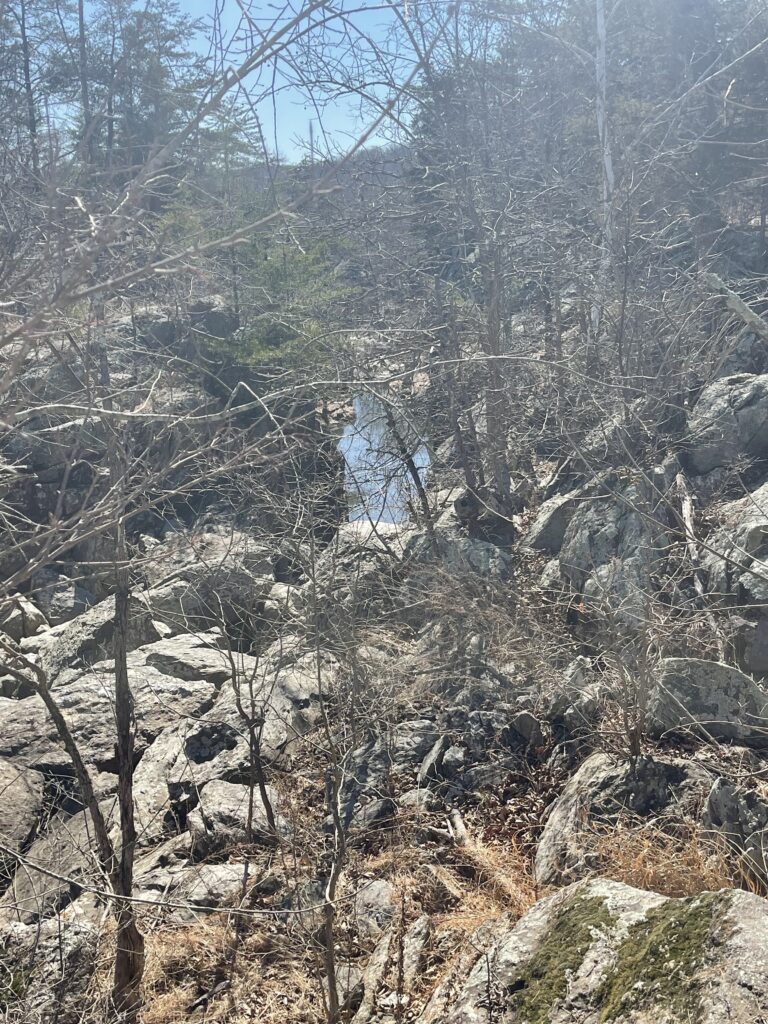 hiking Northern Virginia