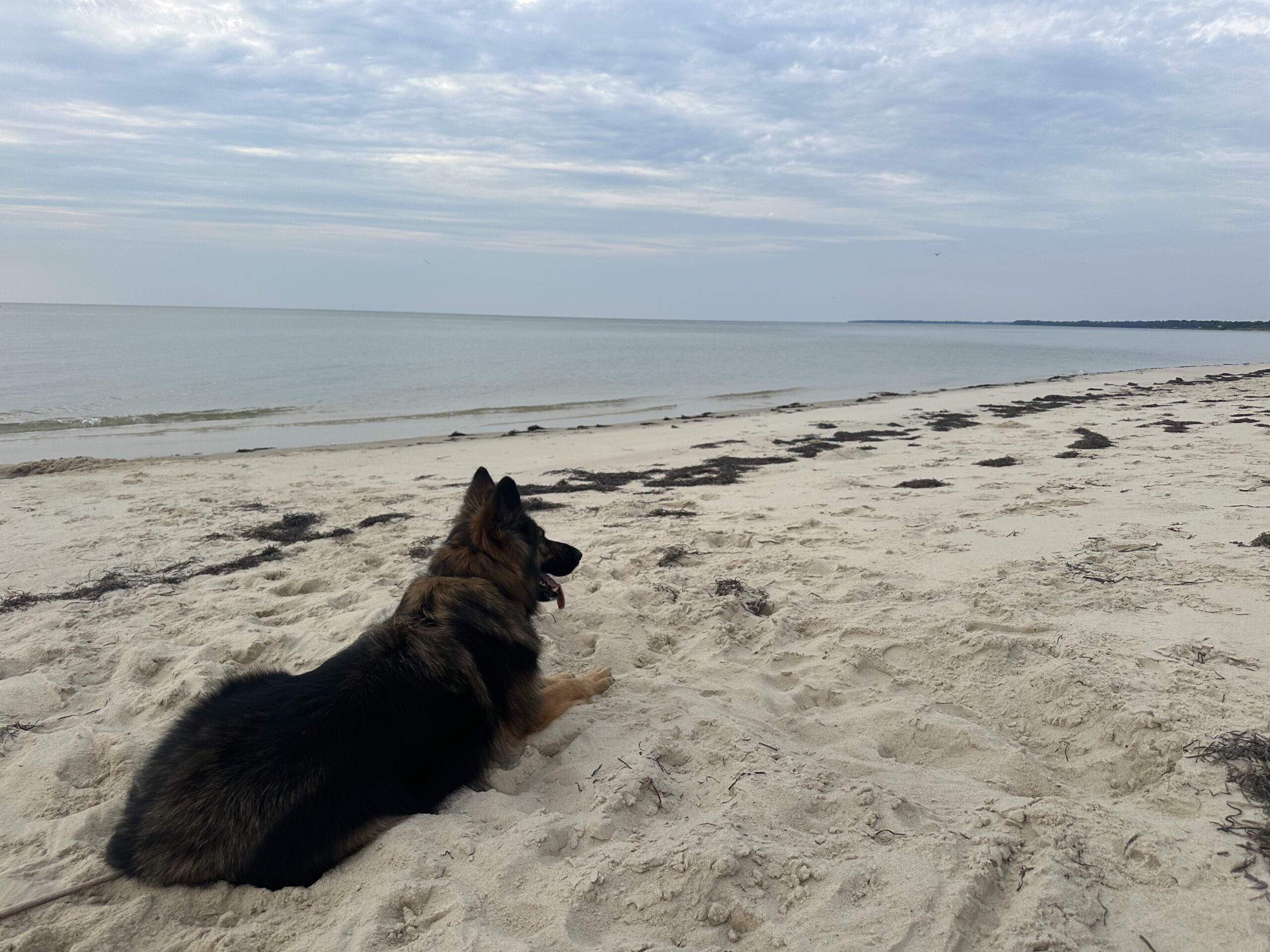 A Private Beach Hidden in the Woods (and a Morning I Didn’t See Coming)