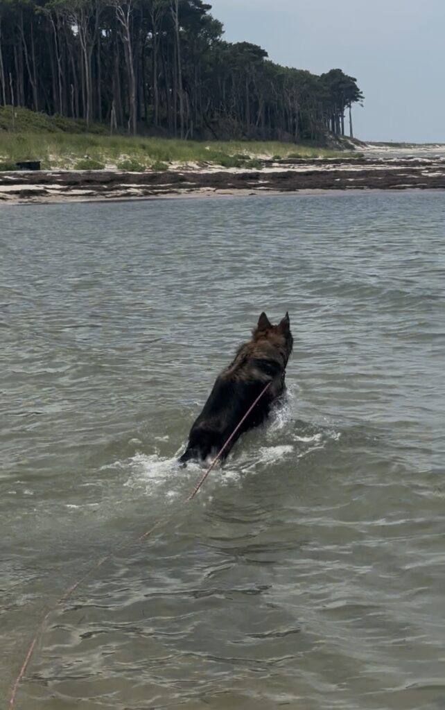Cape Charles private beach with North